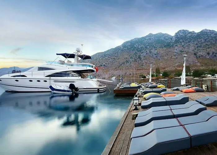 Fi Light Solto Boutique