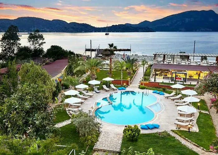 Fi Light Solto Boutique